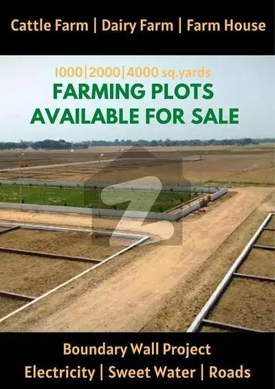 1,000 Sq. Yard Just Rs. 15 Lac! Limited Time Discount Offer Land & Plots in Karachi - AuctionHaulPK.com
