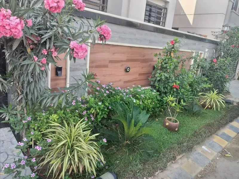 240 Square Yards House Available At An Affordable Price In Saima Luxury Homes For Sale in Karachi - AuctionHaulPK.com